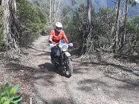 1aaefa1c-fb46-4d41-8b8c-9664ac36db53