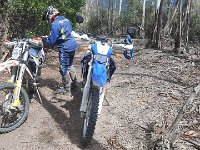 2a187a9d-2154-493f-96a0-b2436cdbf9e6