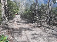 e76533b0-bcd9-4d9b-8675-a835dd27a359