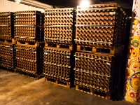 15042012- DSC8504 : 2012, CALÇOTADA, MOTOCLUB