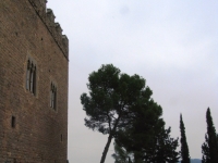 Exif_JPEG_PICTURE  Exif_JPEG_PICTURE