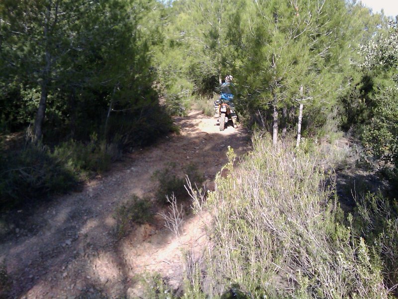 !cid_2A6A9207-7D98-4BA1-8BA6-DD4B67A541D5