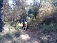 IMG 20171217 131448 1