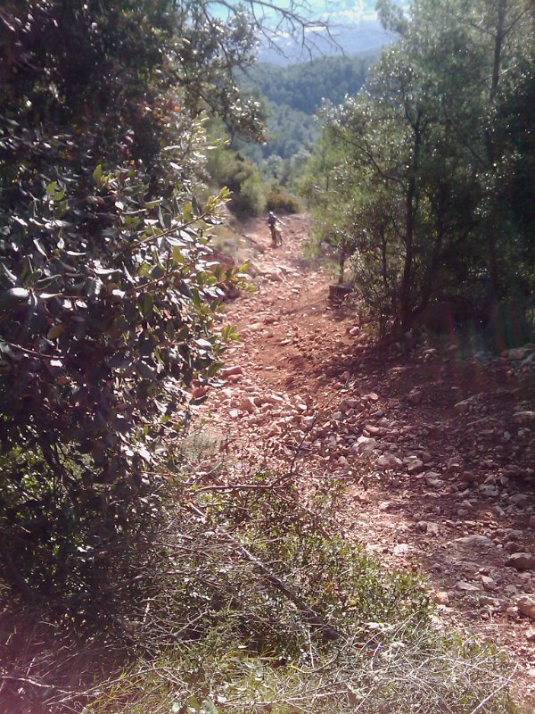 !cid_141F0648-4DD5-4875-B284-7764C177E033