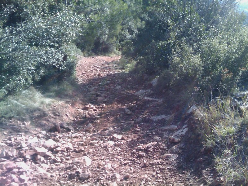 !cid_B825B146-D816-4953-ABC0-DED16861373F